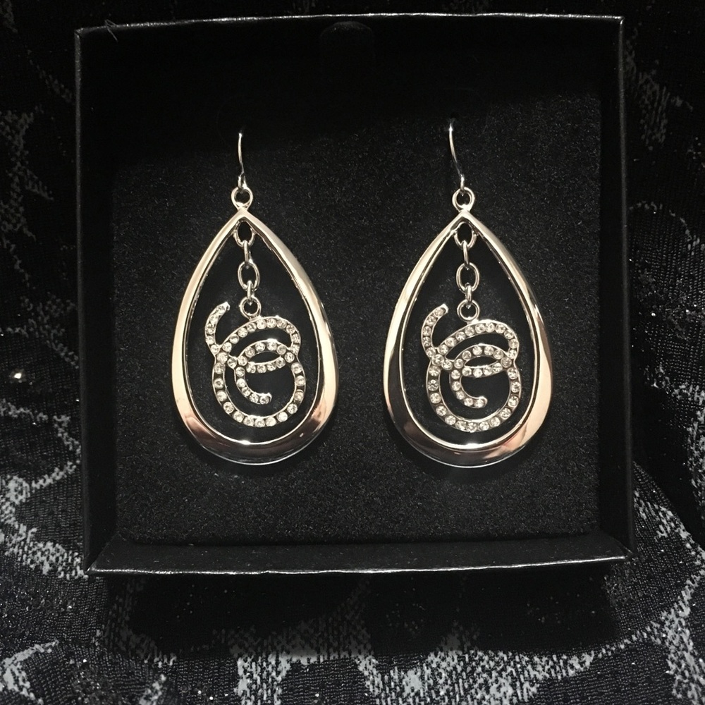 Long Silver Earrings